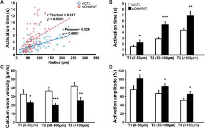 Plasmalogens Regulate Retinal Connexin 43 Expression and Müller Glial Cells Gap Junction Intercellular Communication and Migration